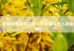 手机视频添加文字（手机视频怎么添加字）