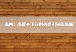 海西：多管齐下开创招商引资新局面