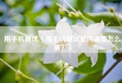 用手机测试（用手机测试室内温度怎么测？）