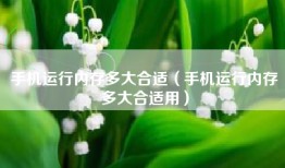 手机运行内存多大合适（手机运行内存多大合适用）