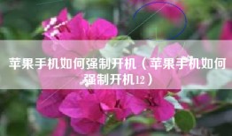 苹果手机如何强制开机（苹果手机如何强制开机12）