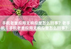 手机老是应用无响应是怎么回事？老手机「手机老是应用无响应是怎么回事？」