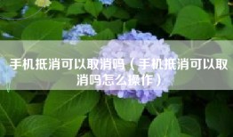 手机抵消可以取消吗（手机抵消可以取消吗怎么操作）