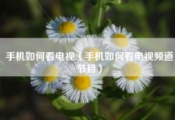 手机如何看电视（手机如何看电视频道节目）