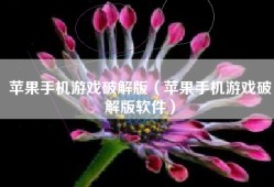 苹果手机游戏破解版（苹果手机游戏破解版软件）