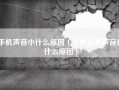 手机声音小什么原因（手机没有声音是什么原因）