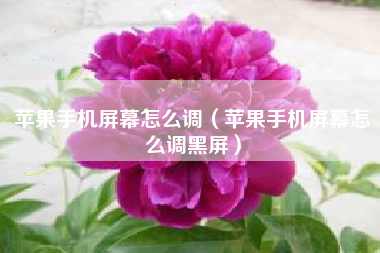 苹果手机屏幕怎么调（苹果手机屏幕怎么调黑屏）