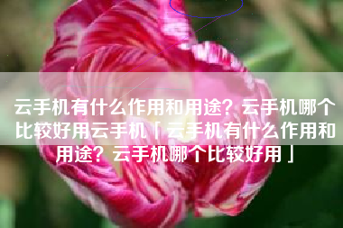 云手机有什么作用和用途？云手机哪个比较好用云手机「云手机有什么作用和用途？云手机哪个比较好用」