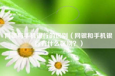 网银与手机银行的区别（网银和手机银行有什么区别？）