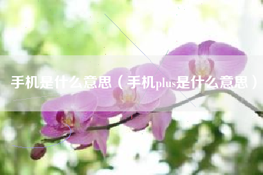 手机是什么意思（手机plus是什么意思）