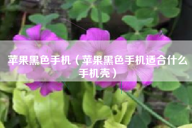 苹果黑色手机（苹果黑色手机适合什么手机壳）