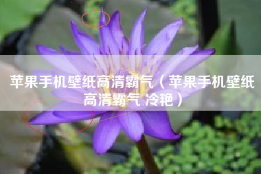 苹果手机壁纸高清霸气（苹果手机壁纸高清霸气 冷艳）