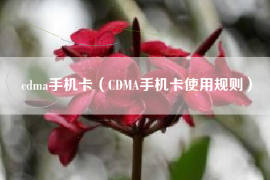 cdma手机卡（CDMA手机卡使用规则）