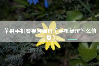 苹果手机看视频绿屏（手机绿屏怎么修复）