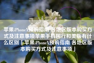 苹果iPhoneX预购指南 各地区版本购买方式及注意事项苹果手机国行和美版有什么区别「苹果iPhoneX预购指南 各地区版本购买方式及注意事项」